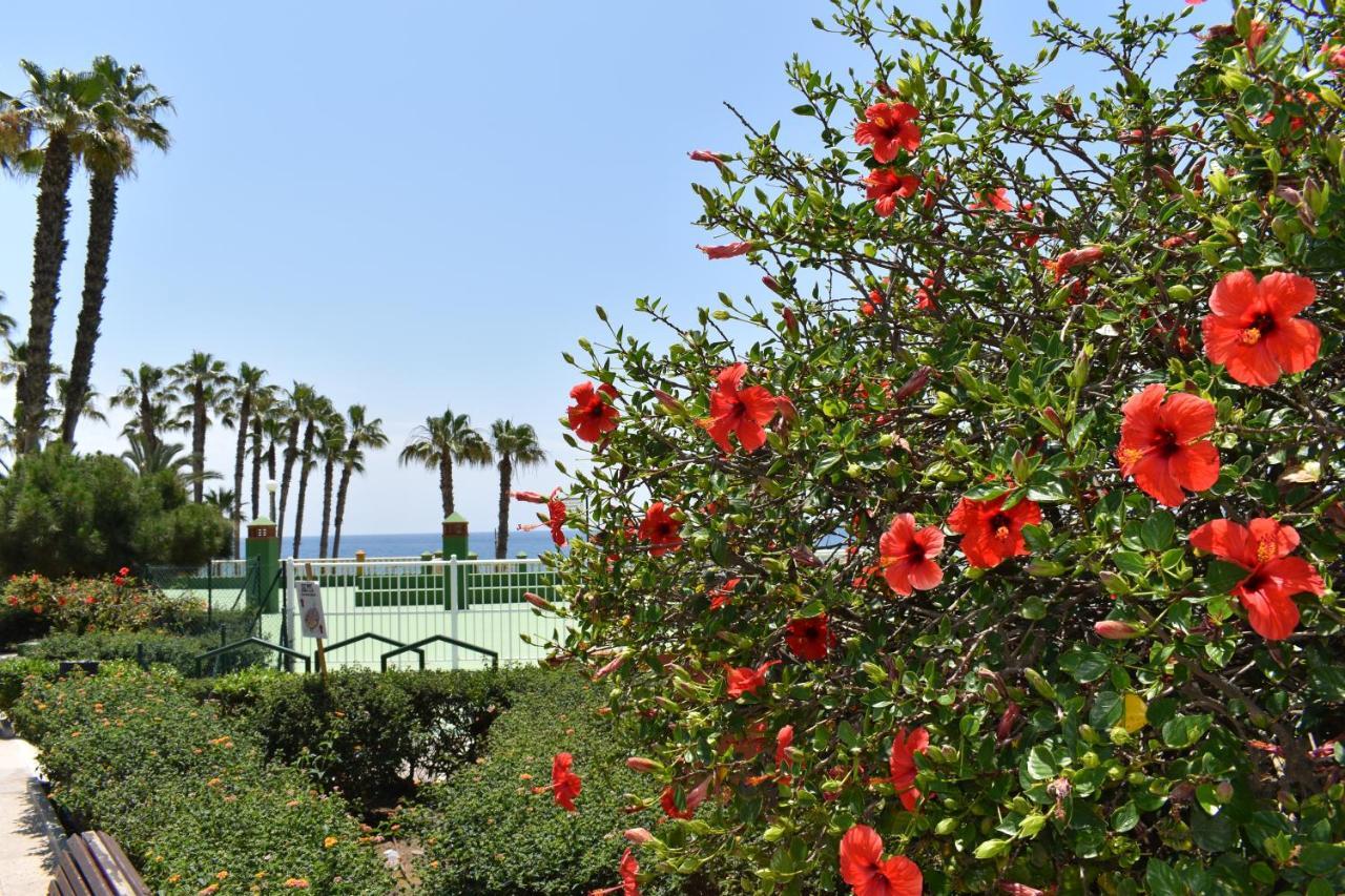 Fantastic Studio - Beachfront Appartement Torrox Buitenkant foto